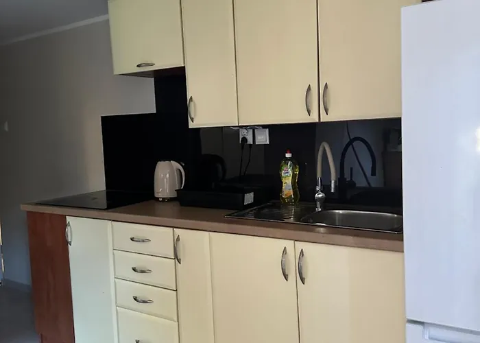 Ul Teligi 4 Nr 11 Apartment